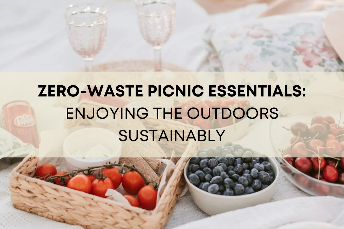 Zero-Waste Picnic Essentials: Enjoying the Outdoors Sustainably