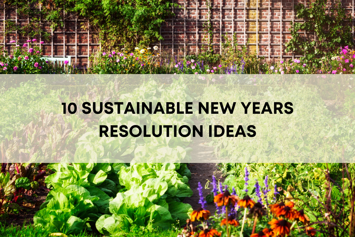 10 Sustainable New Years Resolution Ideas