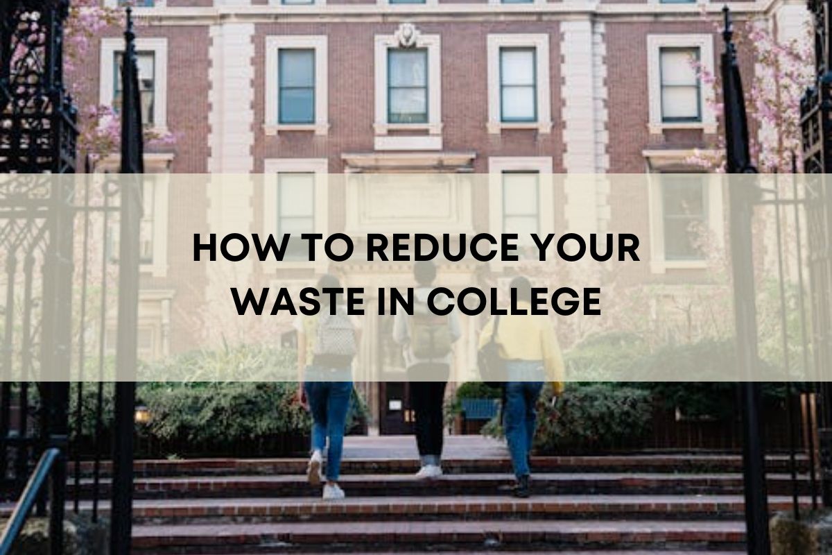 HOW TO REDUCE YOUR WASTE IN COLLEGE