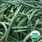 Fortex Green Bean Seed Packet