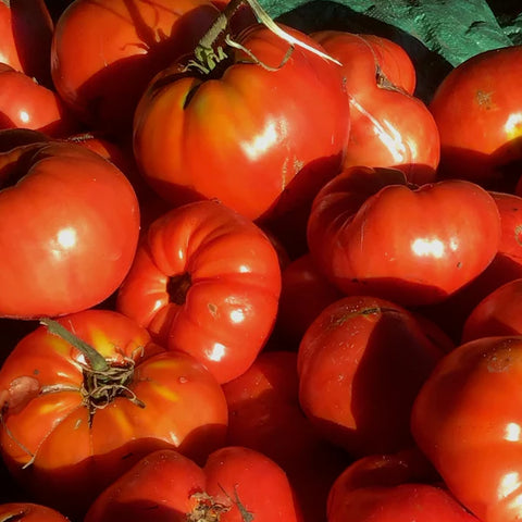 Kathy's Red Barn Tomato Seed Packet